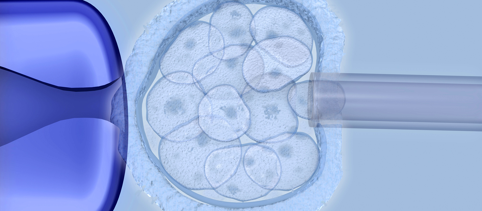 Fertilização In Vitro (FIV)