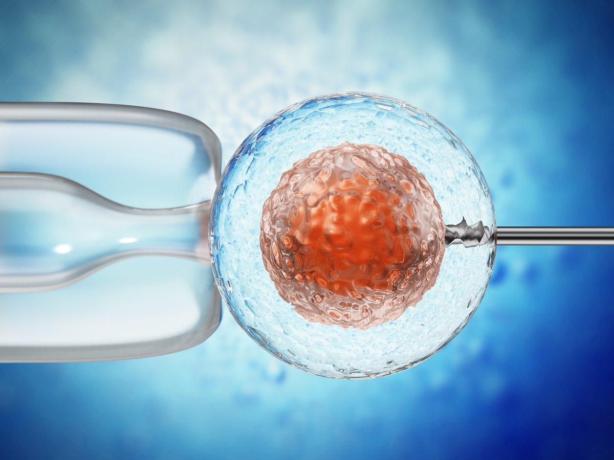 Fertilização In Vitro Clássica (FIV)