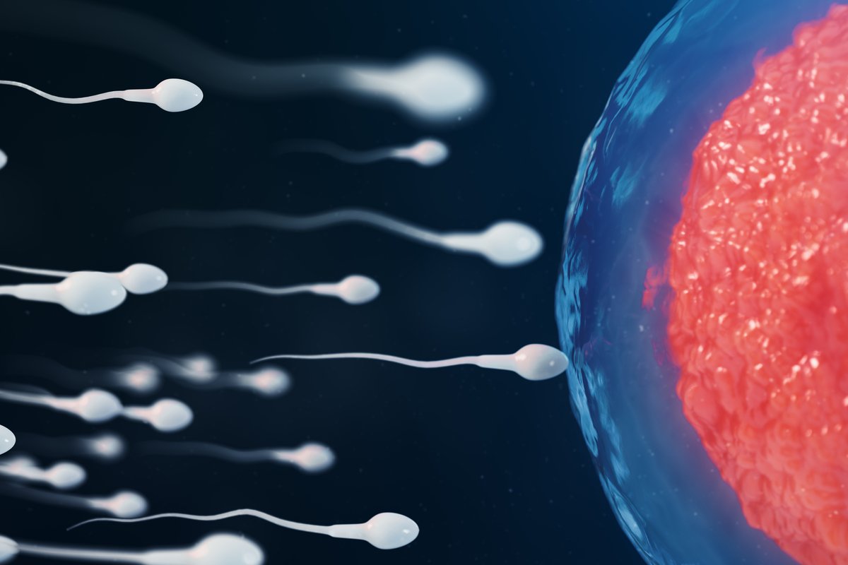 Inseminação Artificial e Intrauterina