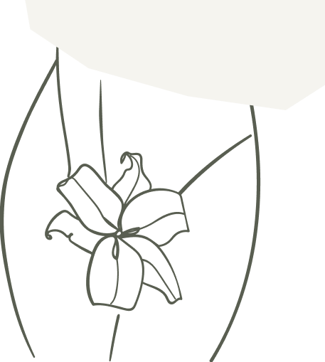 Ilustração Tratamento e Controle da Endometriose