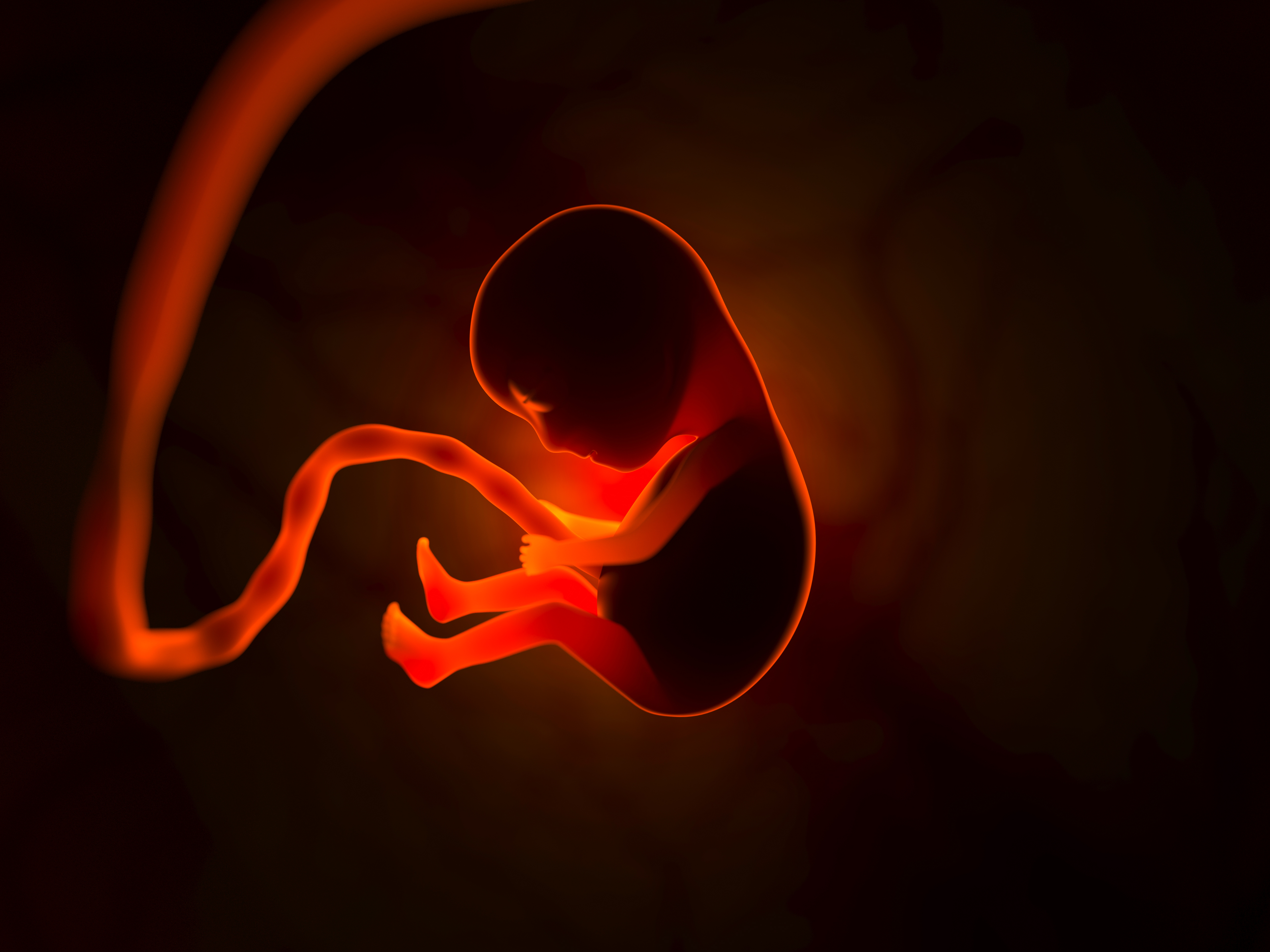 Embriões de baixa qualidade na FIV: uma conversa sobre os limites da biologia e nossos tratamentos