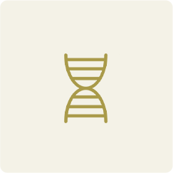 Fragmentao do DNA espermtico