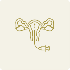 Inseminao Intrauterina